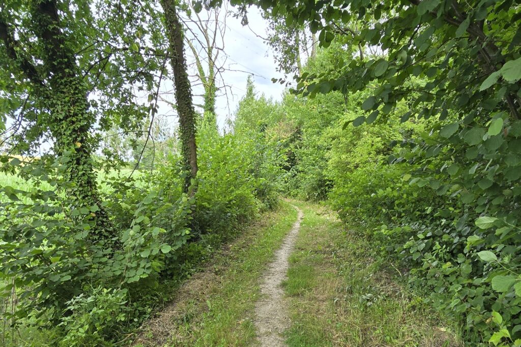 Inschrijving begeleide wandeling – thema energie