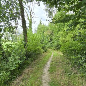 Inschrijving begeleide wandeling – thema energie